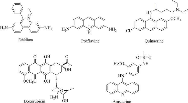 Cytotoxic organic intercalators bearing phenanthridine (ethidium), acridine (proflavine and amsacrine), anthracene (quinacrine) and anthraquinone (doxorubicin) skeletons