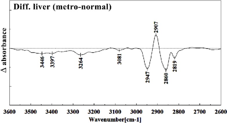 Difference FTIR spectra of Metronidazole-treated liver sections in the 2600–3700 cm–1 wave number region from normal liver sections (Metronidazole-treated liver sections spectra-normal liver sections spectra).