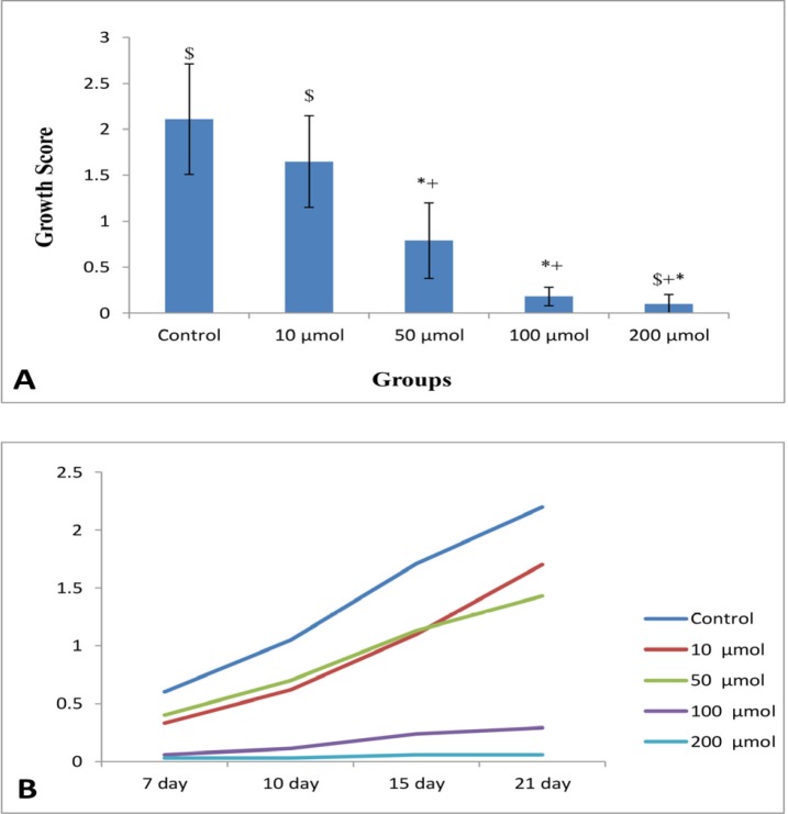 (A) Mean growth score of NE (n = 8) in control and different doses of noscapine. Significant difference: (*) whit control, (+) whit 10 μM, and ($) whit 50 μM. (B) Process of endometrial growth during 21 days 3D culture in control and different doses of noscapine