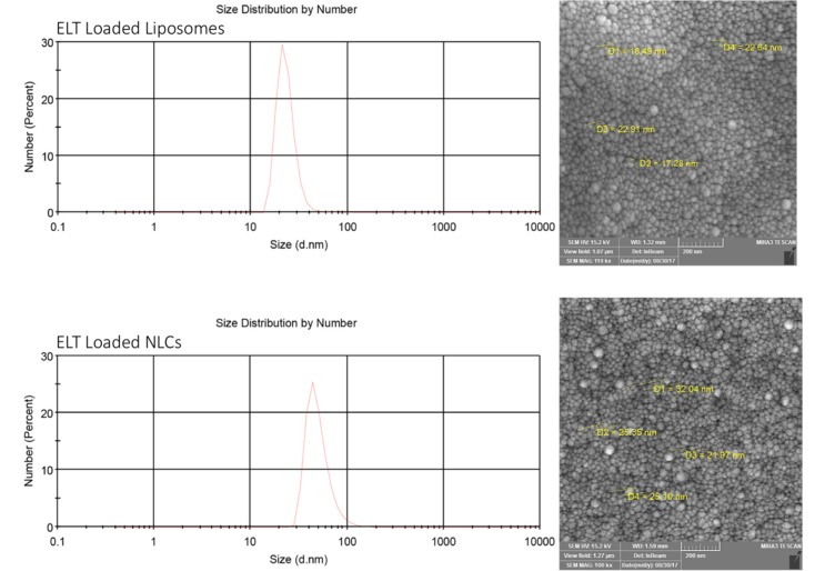 Represents size analysis and SEM imaging of ELT loaded Liposomes (a) and ELT loaded NLCs (b)