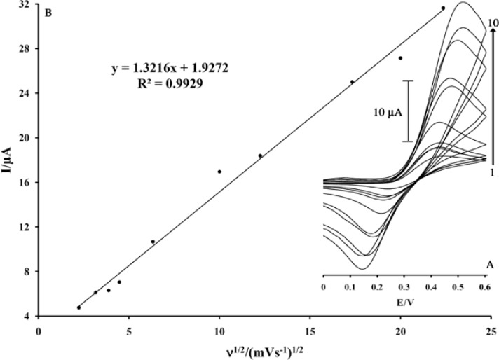 Plot of Ipa versus ν1/2 for the oxidation of 500 μM MDOP at a surface of MWCNTs/MCPE. Insert; cyclic voltammograms at various scan rates, (1) 5; (2) 10; (3) 15; (4) 20; (5) 40; (6) 100; (7) 150; (8) 300; (9) 400 and (10) 400 mV s–1 in 0.04 M universal buffer solution (pH 5.0).