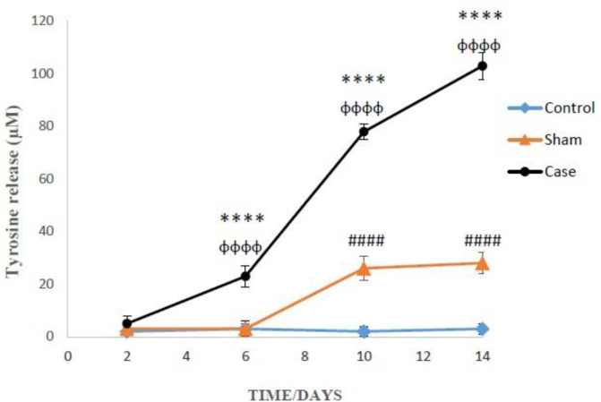 Comparison of cellular proteolysis in the glial cells after the induction of neuropathic pain. Values are presented as mean ± SD. ****P < 0.0001 Signiﬁcant difference between case and sham groups in corresponding time; ɸɸɸɸP < 0.0001 Compared with previous time in case group; #####P < 0.0001 Signiﬁcant difference between sham and control groups in corresponding time