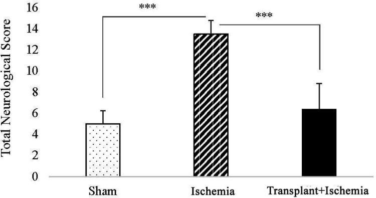 Effect of Sertoli cell transplantation on total neurological deficits at 24 h after ischemia induction in rats. Values are expressed as the mean ± SEM (n = 10). P ˂ 0.05 considered as significant. (*P < 0.05, **P < 0.01, ***P < 0.001) (Nonparametric Kruskal- Wallis analysis).