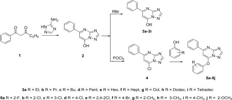 The synthesis route of target compounds