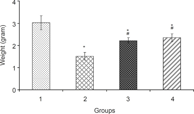 Weight (mean ± SEM) of fetuses in different groups: 1: Normal saline (5 mL/kg), 2: Phenobarbital (120 mg/kg IP), 3: Phenobarbital + levamisole (10 mg/kg IP), 4: Phenobarbital + vitamin E (100 mg/kg IP), n = 5, * Significant difference with normal saline group, # Significant difference with Phenobarbital group (p<0.05).