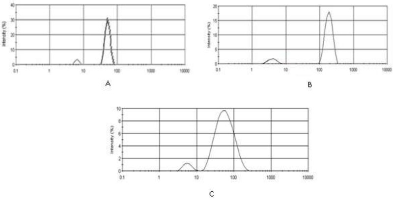 Polydispersity index (PDI) and Intensity mean diameters for (A) IKAg = 0.8, d = 190.4 nm, (B) PKAg = 0.9, d = 51.72 nm, and (C) AgNPs = 0.22, d = 64.08 nm