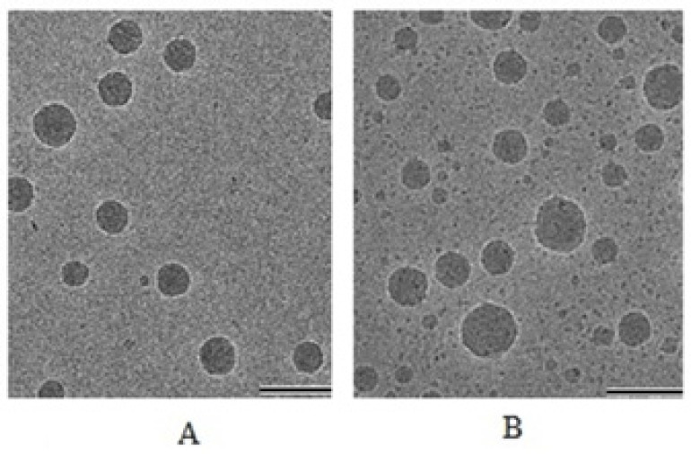 Ex-vivo permeation nanoemulsion study of formulations