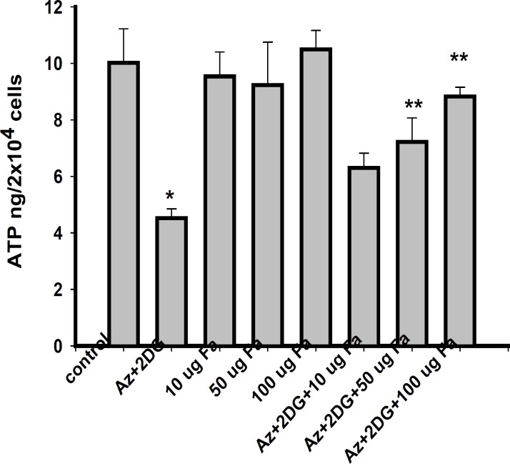 ATP levels in PC12 cells after 2 h of ischemia and 24 h of reperfusion. Values are mean ± S.E. of three different experiments. *Significantly different from normal control, **significantly different from ischemic control, at p < 0.05 (ANOVA–Student–Newman–Keuls