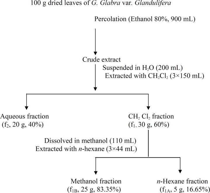 Flow diagram of fractionation of the crude extract obtained from the leaves of G. Glabra var. Glandulifera