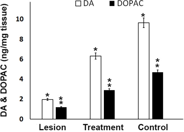 Dopamine (DA) and 3,4-dihydroxyphenylacetic acid (DOPAC) levels in the ipsilateral of striatum and SN from different groups. Analysis of substantia nigra DA and DOPAC concentrations showed trehalose treatment protects cells from 6-OHDA-induced of striatal dopamine and dopamine metabolites depletion. A significant decrease in rats that were exposed to 6-OHDA as compared to control and treatment rats was seen, *P < 0.05, ** P < 0.01