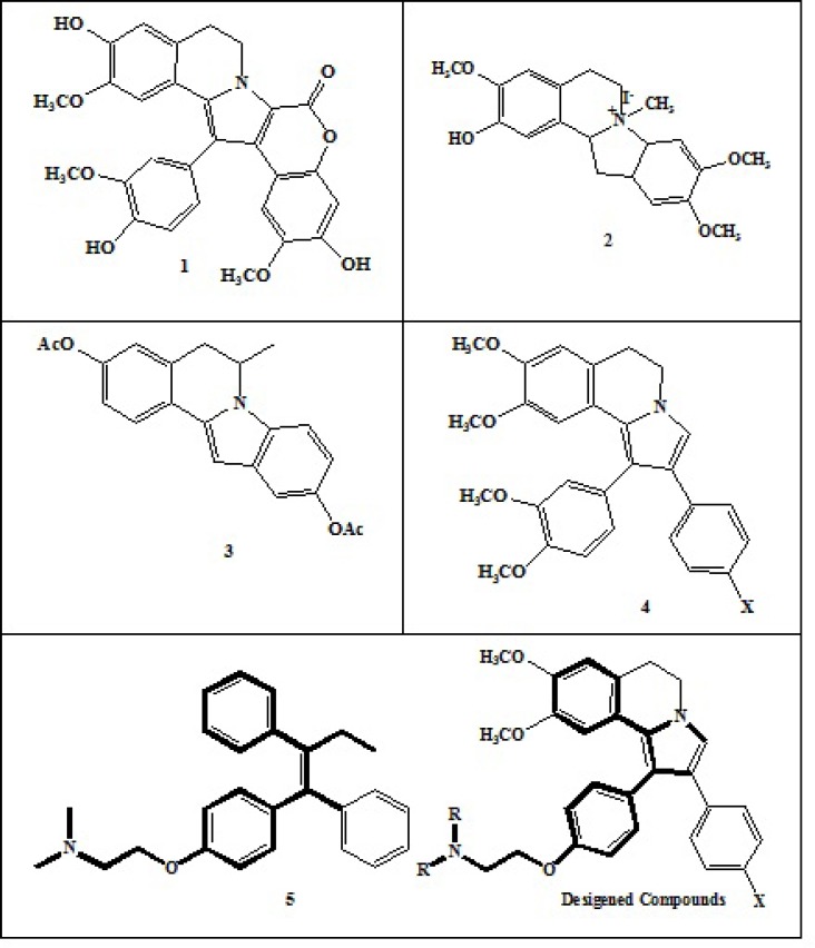 Some representative examples of Pyrrolo[2,1-a]isoquinolineand our designed compounds