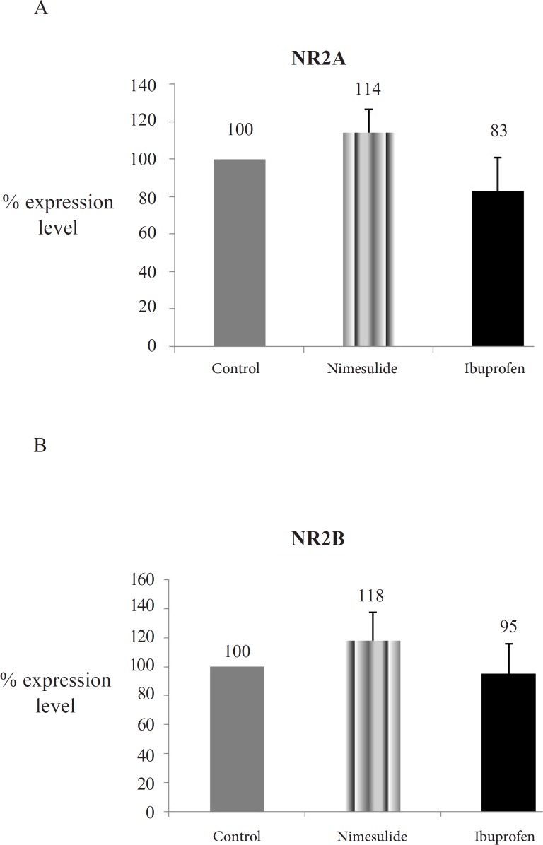 Optic densities of NMDAR subunits protein expressions of the groups. 2A: NR2A protein expressions; 2B: NR2B protein expressions; Explanation of Figure 2A, 2B: NR2A and NR2B levels from hippocampi homogenates were assayed with western blotting. Mean of control group data was assumed as 100 and % concentration values of other groups were given (Data are presented as mean ± SEM).