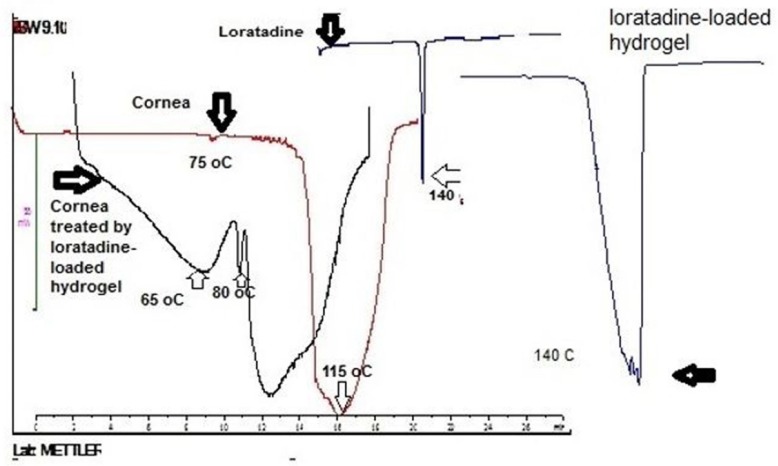 DSC thermograms of loratadine, cornea and cornea treated with loratadine loaded – hydrogel.