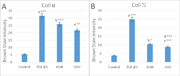 Color intensity demonstrated the deposition of (A) type II and (B) type X collagen protein in control, TGF-β3, KGN, and ASU treatment groups in the rat model. Data are presented as mean ± SD. Error bars represent the standard deviation of the mean. *P < 0.05, **P < 0.01, ***P < 0.001