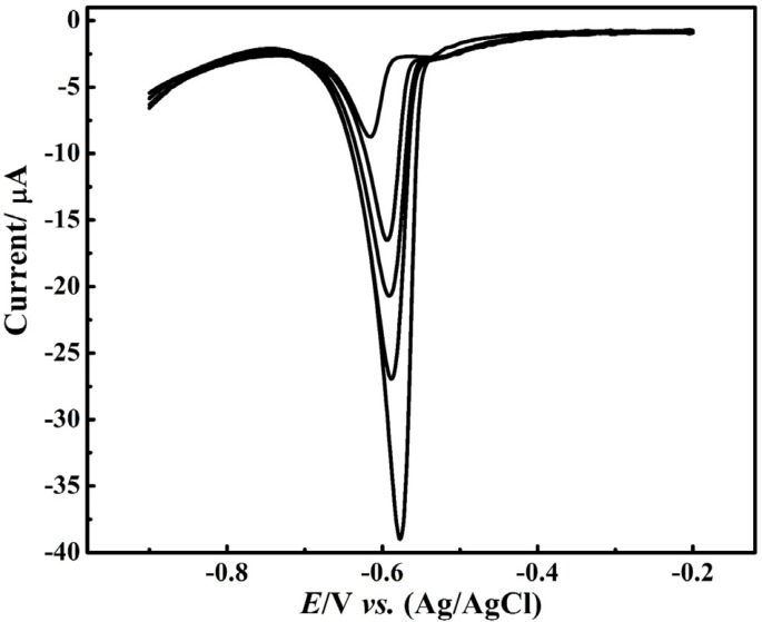 DPV calibration of Pb2+ in HNO (0.1 M) at CNT-CPE; up to down: 20 – 100 μM