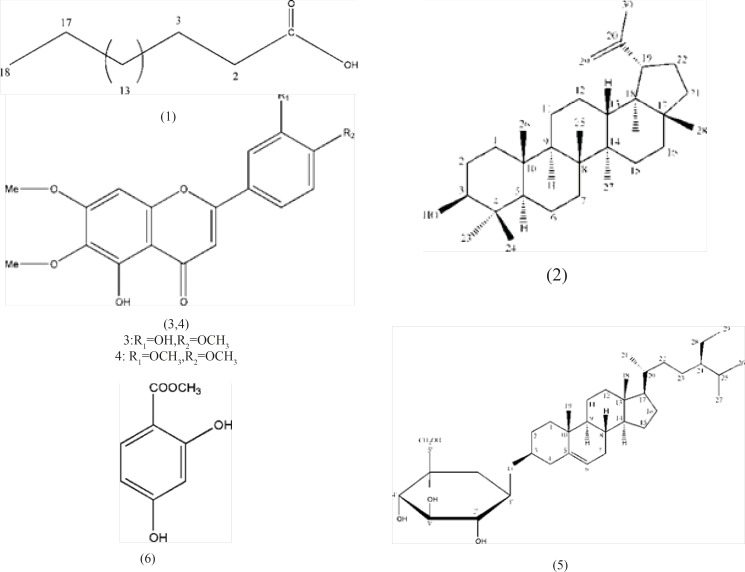 Structures of isolated compounds