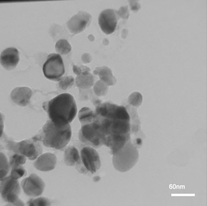 TEM image of biosynthesized silver nanoparticles