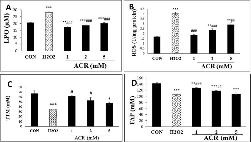 Effects of H2O2 and ACR (1, 2 and 5 mM) on oxidative stress biomarkers in mouse fibroblast cell line NIH-3T3. (A) lipid peroxidation (LPO). (B) reactive oxygen species (ROS). (C) total thiol molecules (TTM). (D) total antioxidant power (TAP). Values are mean ± SEM. The significance of changes was reported as *p < 0.05, **p < 0.01, and ***p < 0.001 versus the control group, #p < 0.05, ##p < 0.01, and ###p < 0.01 versus H2O2 group