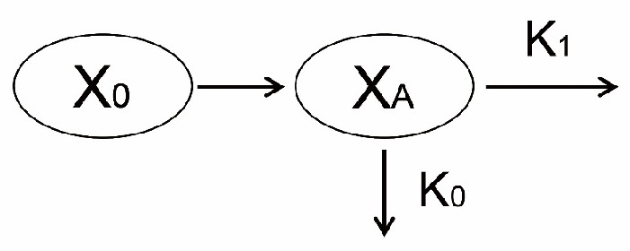 Model diagram of the new model describing the PK of mAbs in beagle dogs