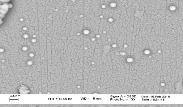 SEM image of PLA-PEG-PLA/PEI/DNA nanoparticles were prepared at PEI: (PLA-PEG-PLA) (w/w %) ratio of 15:300