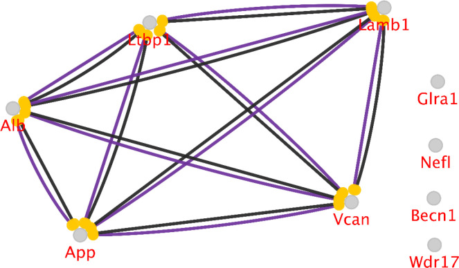 The action view of seven searched genes of hubs and bottlenecks with the addition of the most central genes of App and Alb. The actions between three hubs and two hub-bottlenecks are present as catalysis (purple) and reaction (black). The rest of the nodes did not show any action type. Other types of actions, including activation, inhibition, and expression, were not found