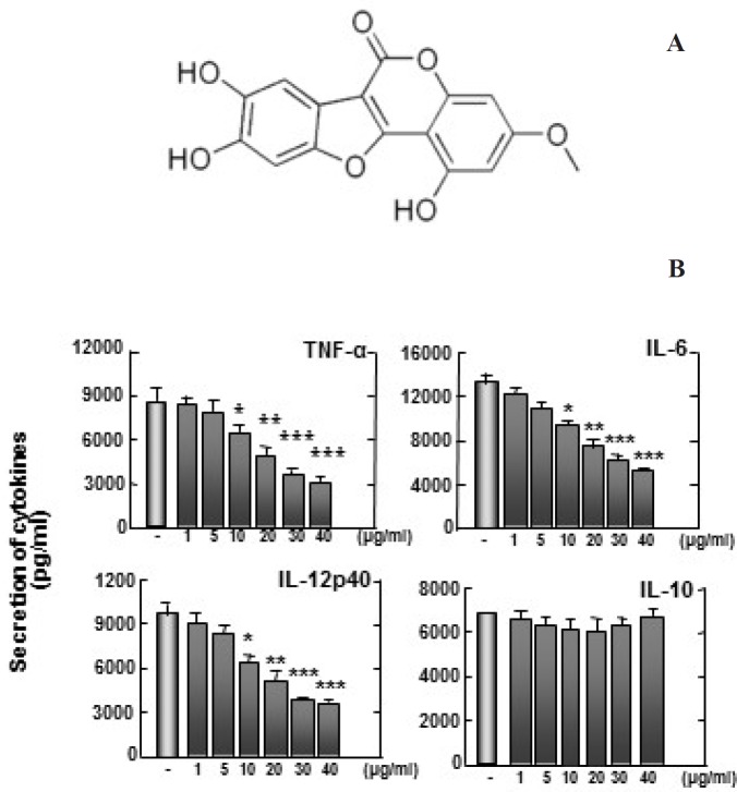 (A) Structure of wedelolactone. (B) Zymosan-induced TNF-α, IL-6, and IL-12p40 production are inhibited by wedelolactone, but not IL-10. Bone marrow-derived macrophages (BMDMs) from mice were treated with wedelolactone at concentrations of 0, 1, 5, 10, 20, 30, 40 µg/mL in DMSO 0.1% in 45 min before stimulation with zymosan. Supernatants were harvested 18 h after stimulation with 100 µg/mL zymosan to induce inflammation. Concentrations of IL-10, IL-12p40, IL-6, and TNF-α in the culture supernatants were determined by ELISA. The results are expressed the mean ± SD of five experiments. Significant differences (**P < 0.01; ***P < 0.001) compared with cultures without wedelolactone are indicated