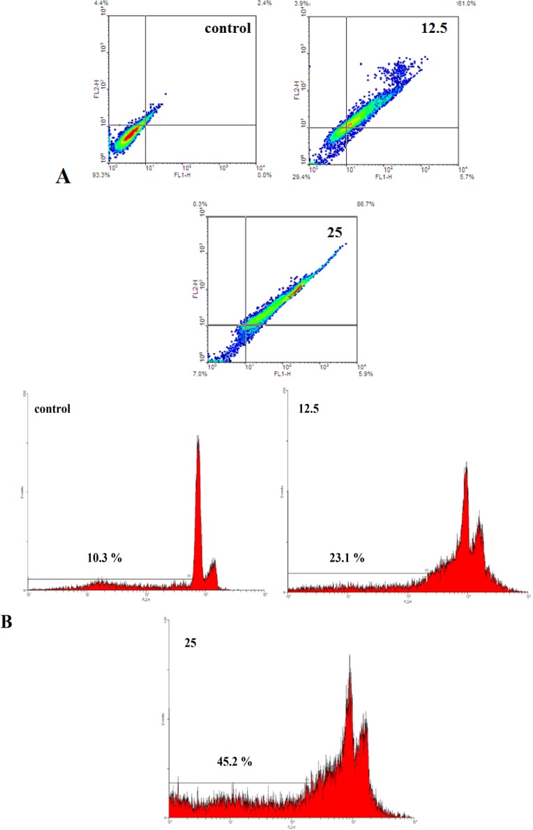 A) Evaluation of apoptosis by Annexin V-FITC method. The cells were exposed with increasing concentration of brittle star saponin fraction for 24 h by flow cytometry analysis.(a-d) untreated cancer cells, treatment with 12.5, 25 μg/ml brittle star saponin fraction, respectively. B) Apoptotic effect of brittle star saponin fraction on cervical cancer cells estimated by flow cytometry. Flow cytometry histogram of untreated and treated HeLa cells with 12.5, 25μg/ml brittle star saponin exhibited increase in sub-G1 region demonstrating mediation of an apoptotic cell death in cytotoxicity of brittle star saponin