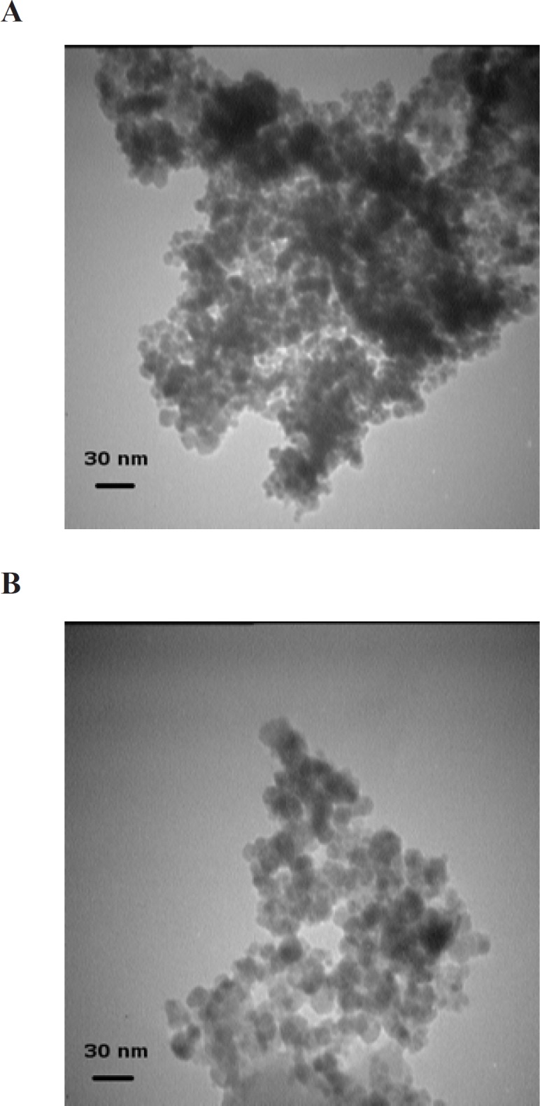 TEM micrographs of Fe3O4 (A) and Fe3O4@SiO2 (B) NPs. (A) Fe3O4 NPs were prepared by FeCl2 and FeCl3 coprecipitation under alkaline conditions. (B) Fe3O4@SiO2 NPs were prepared using the method described in the Experimental section (initial TEOS concentration 0.1 % v/v
