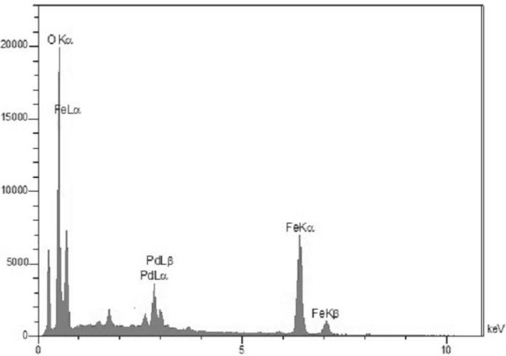 EDS spectrum of Pd/Fe3O4 NPs.
