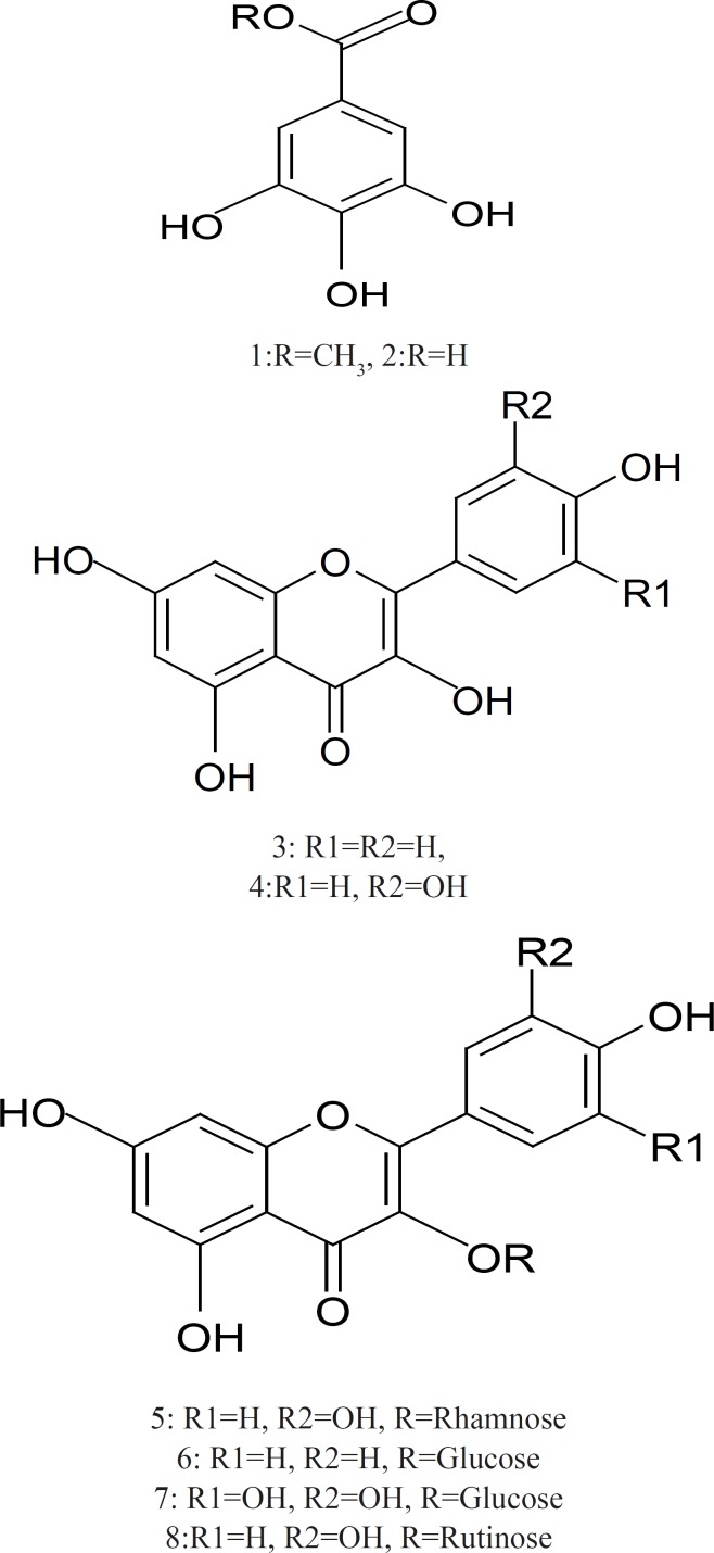 Chemical structures of Phenolic compounds isolated from B. racemosa