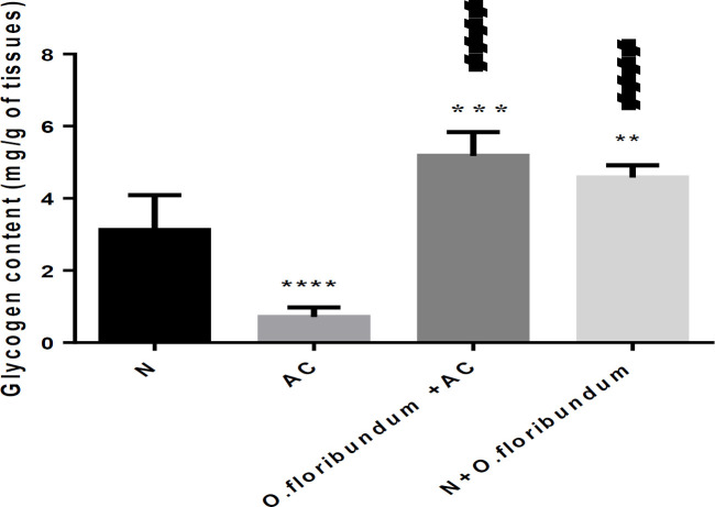 effect of O. floribundum on liver glycogen content in different treated groups