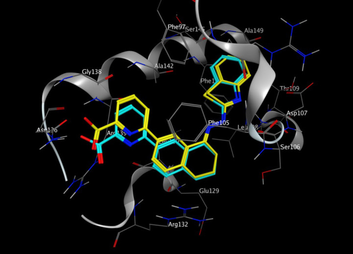 Representation of the co-crystallized inhibitor (cyan) docked into the binding site and superimposed on the cognate ligand (yellow) in the crystal structure of Bcl-2 (PDB ID: 3ZLN).