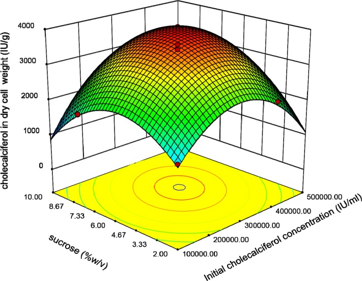 Response surface plot indicating the effect of sucrose and initial cholecalciferol concentrations interaction on cholecalciferol amount per dry cell weight of S. cerevisia