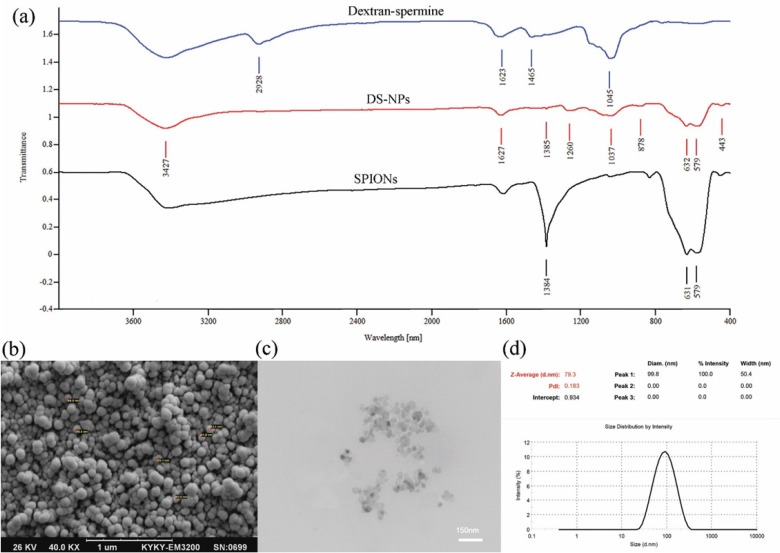 FT-IR spectra of dextran-spermine, DS-NPs and SPIONs (a); SEM (b) and TEM (c) images of capecitabine loaded DS-NPs; Size and the polydispersity of DS-NPs measured by DLS (d