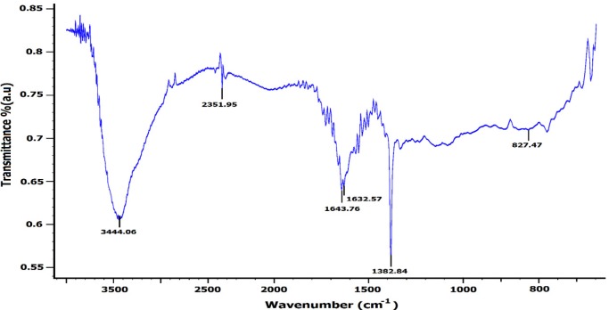 FT-IR spectrum of zirconium NPs synthesized using P. purpurogenome PTCC 5212