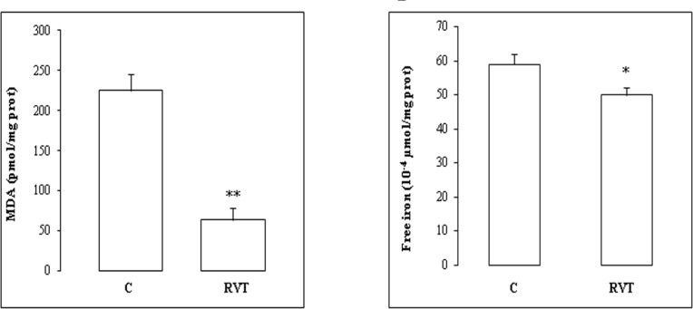 Antioxidant effect of resveratrol. After I/R insult, isolated hearts from C or RVT treated animals were used for MDA (Figure 2A) and free iron (Figure 2B) determinations. Results are expressed as means ± SEM (n=6). *p < 0.05 vs C. **p < 0.01 vs C