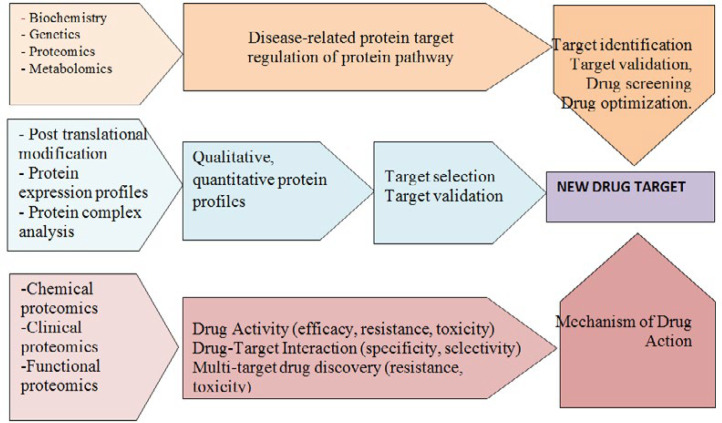 Applications of proteomics at target-based and phenotype-based drug discovery process