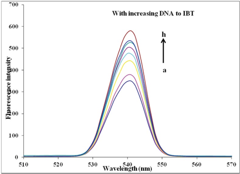 Emission enhancement spectra of IBT (37 µM) in the absence (bottom spectrum) and presence of increasing amounts of calf thymus DNA (7.4, 18.5, 29.6, 37, 55.5, 66.6 and 74 µM; subsequent spectra). Arrow shows the emission intensity changes upon increasing DNA concentration