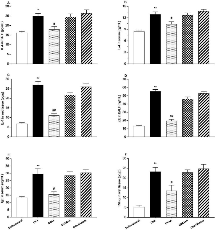 Effect of CB2 agonist on OVA-induced asthma in IL-4 level in BALF (A), in IL-4 level in serum (B), in IL-4 level in lung tissue (C), in IgE level in BALF (D), in IgE level in serum (E), TNF-α level in lung tissue (F). Data are expressed as mean ± S.E.M. (n = 6) and one-way ANOVA followed by Tukey’s multiple range test. *p < 0.05 or **p < 0.001 as compared to saline control group, #p < 0.05 or ##p < 0.001 as compared to OVA group