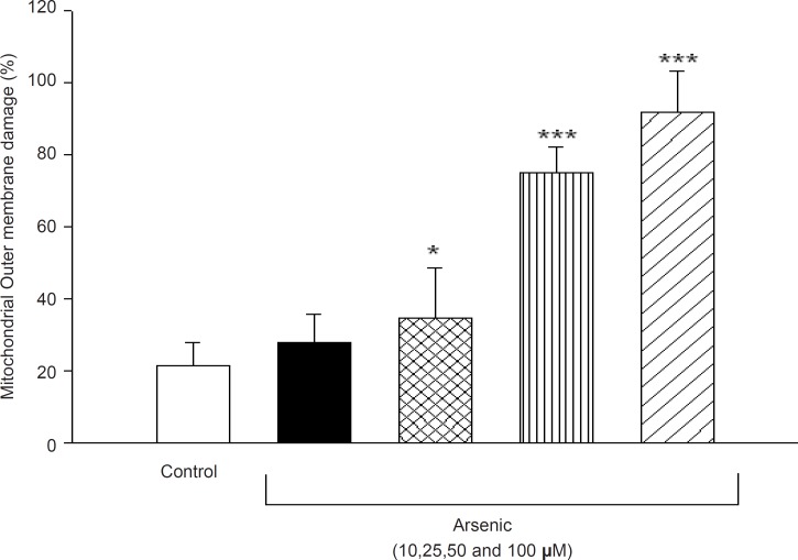 Effect of arsenic on mitochondrial outer membrane integrity. Liver mitochondria (0.5 mg/ML) were incubated for 1h in the presence of different concentration of arsenic (0, 10, 25, 50 and 100 μM) and mitochondrial outer membrane integritywas measured as described in method and materials. Values represented as mean±SD (n=3). *p < 0.05; **p < 0.01; ***p < 0.001 compared with control mitochondria.