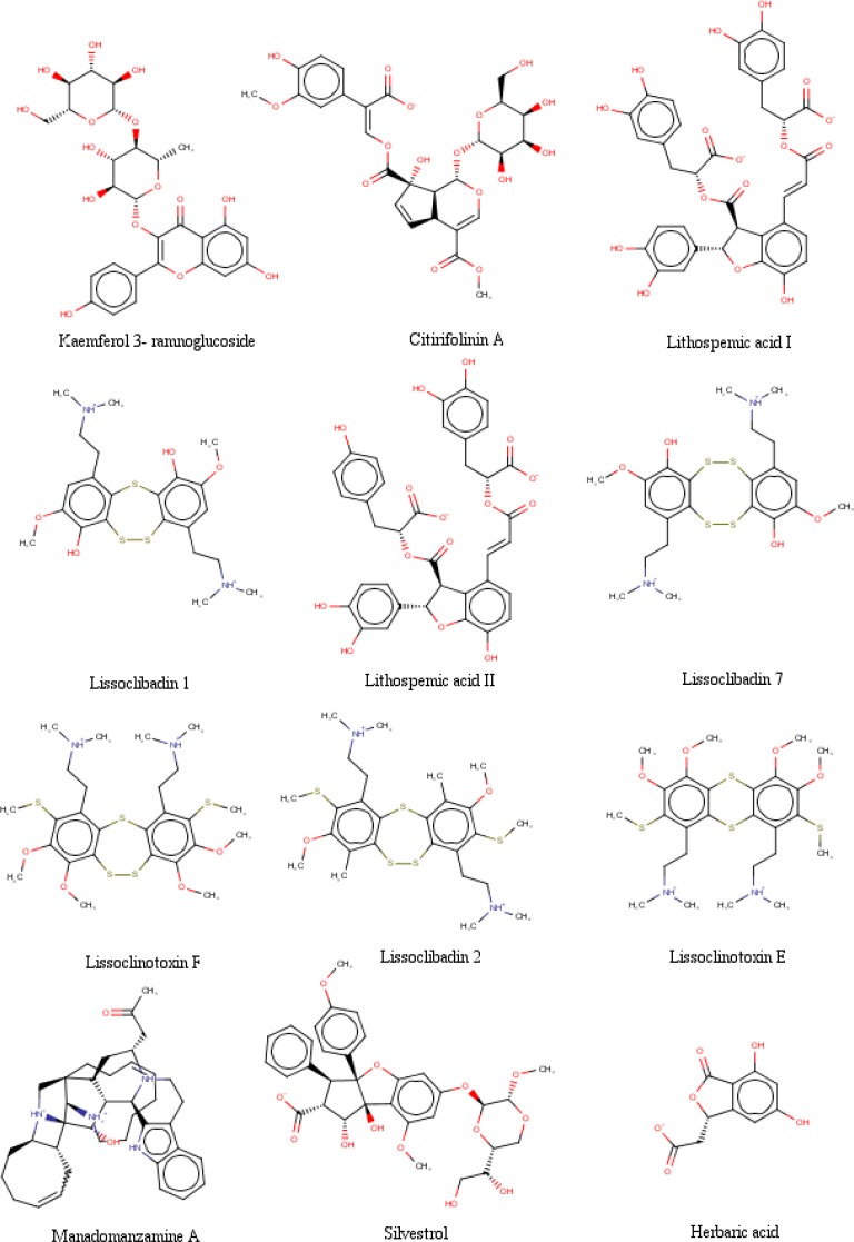 The chemical structures of selected Indonesian natural product compounds