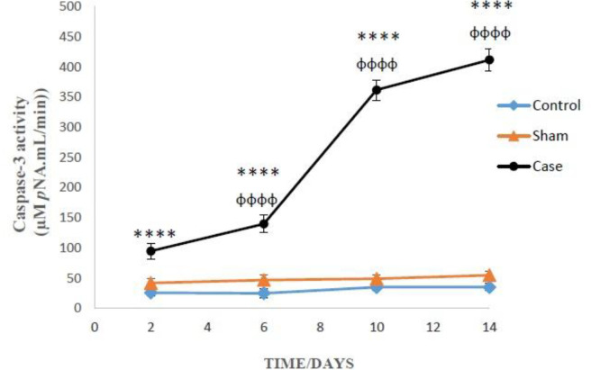 Caspase-3 activity in the glial cells after the induction of neuropathic pain. Values are presented as mean ± SD. ****P < 0.0001 Signiﬁcant difference between case and sham groups in corresponding time; ɸɸɸɸP < 0.0001 Compared with previous time in case group