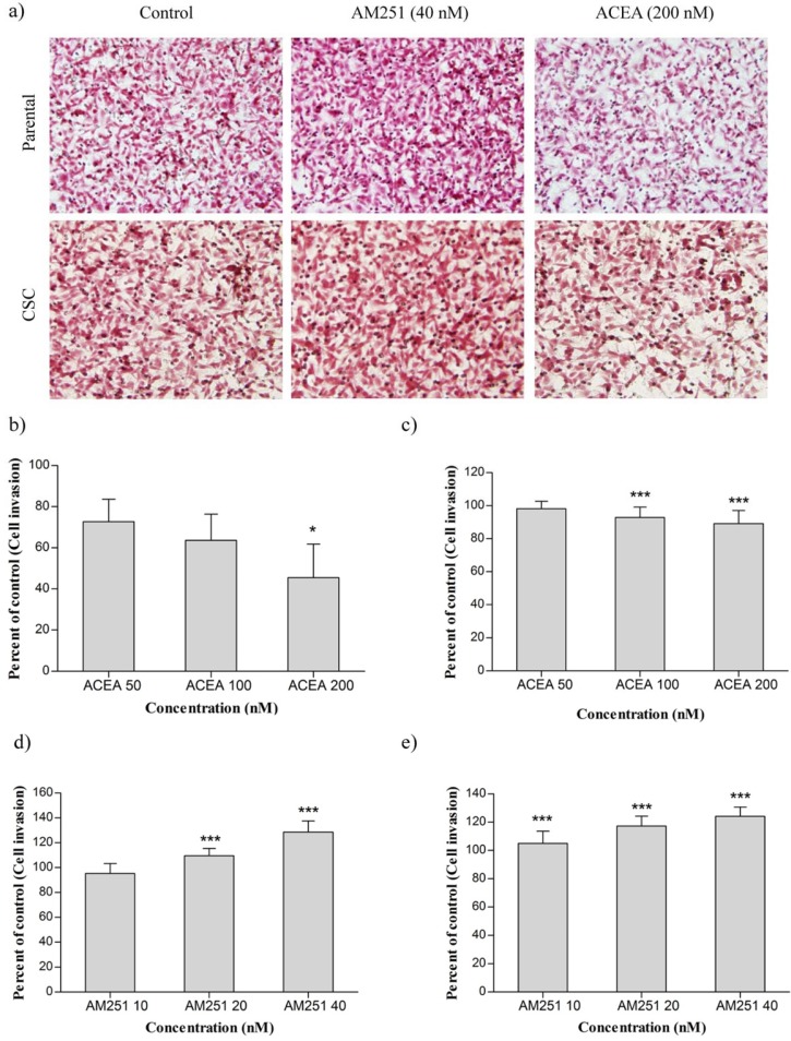 (a) The effect of ACEA and AM251 on invasion of MDA-MB-231 cell line and CSCs isolated from it. (b) MDA-MB-231 cells were treated with ACEA. (c) CSCs were treated with ACEA. (d) MDA-MB-231 cells were treated with AM251. (e) CSCs were treated with AM251. Data were reported as mean ± SD. (* P < 0.05; *** P < 0.001 relative to vehicle-treated controls