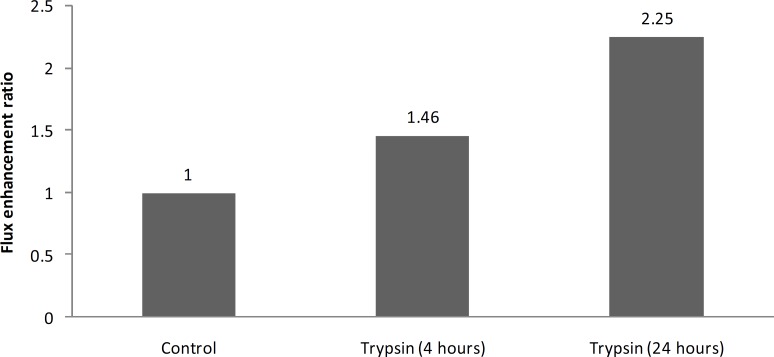 Enhancement effect of trypsin toward permeation of clindamycin phosphate through third-degree burn eschar treated for 4 and 24 h