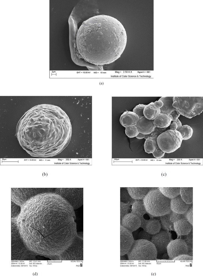 Scanning electron photomicrograph of microcapsules showing a) Alginate without coating, b) Alginate coated with chitosan, c) Alginate coated with poly-L-lysine, d) Alginate-poly-L-lysine cross-linked with genipin, e) Alginate-chitosan cross-linked with genipin