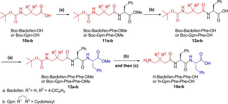 Synthesis of tetra-peptide starting from Baclofen (a) EtOAc, H–Baclofen–OMe, TBTU, HOBt, DIEA, R.T.; (b) MeOH, 2 M NaOH, H2O; (c) EtOAc, H–Phe–Phe-OMe, TBTU, HOBt, DIEA, R. T.; (d) HSiEt3, TFA/CH2Cl2