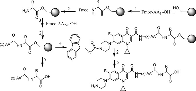 Preparation of Ciprofloxacin-peptide conjugate 1) HOBt, DMAP, DIC, DMF. 2) Piperazine, DMF.3) HOBt, DIC, DMF.4) Fmoc-ciprofloxacin, PyBOP, DIPEA, DMF.5) TFA with scavengers