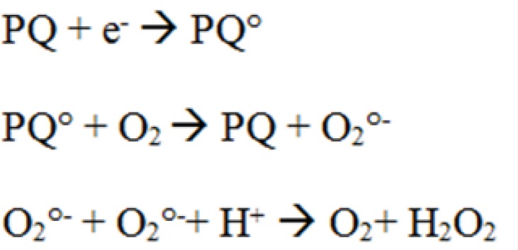 Proposed mechanism for H2O2 production by paraquat (PQ).