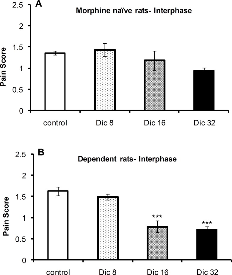 Pain scores during interphase of the formalin test in morphine-naïve (A) and morphine-dependent (B) groups. The data are expressed as the mean±SEM