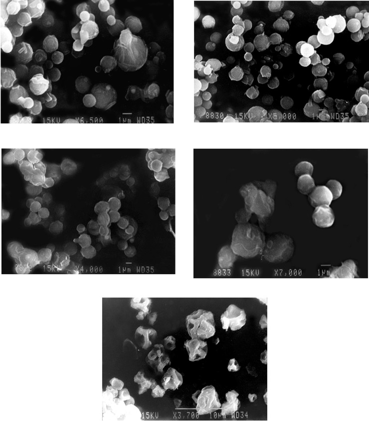 SEM photomicrograph of spray dried chitosan polyelectrolyte complex based microparticles (a) batch DLX5 (b) batch DLX7 (c) batch DLX8 (d) batch DLX9 and (e) batch DLX10